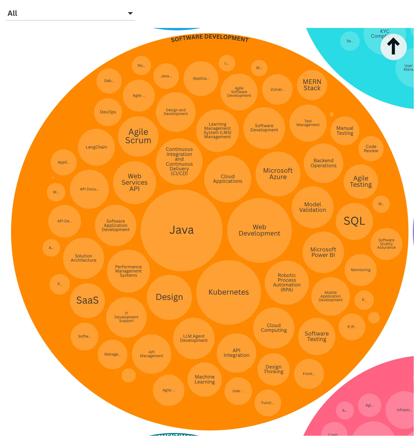 Bubble chart of engineer skill tags in Software Development, led by Java, Web Development and Kubernetes