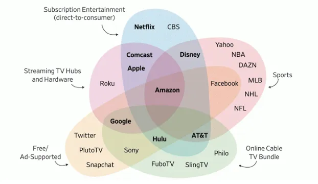 Venn diagram of streaming companies grouped by segment, with Amazon in the overlap of subscription, hubs, sports and cable bundles